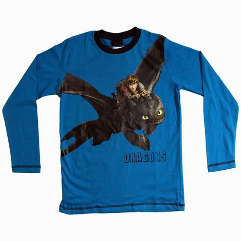 How to Train your Dragon set