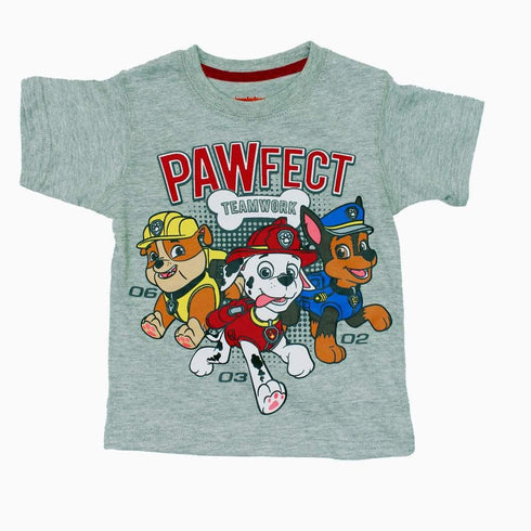 PAWFECT Grey and Red 2 piece Set