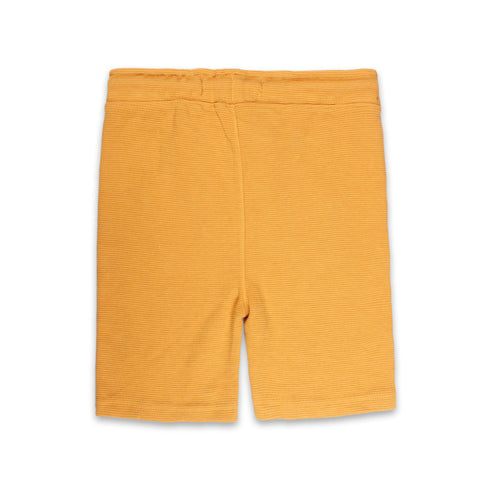 BABY CLUB Yellow Boys Cotton Terry Shorts