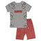 DELTA Roarrr Grey Boys Premium Cotton Tshirt 2 Piece Set