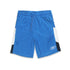REEBOK Royal Blue Boys Polyester Shorts