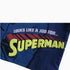 Looks like a job for Superman T-Shirt